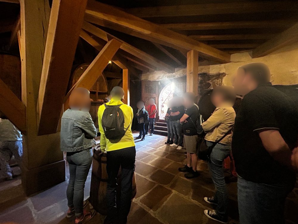 Visite guidée des caves du domaine