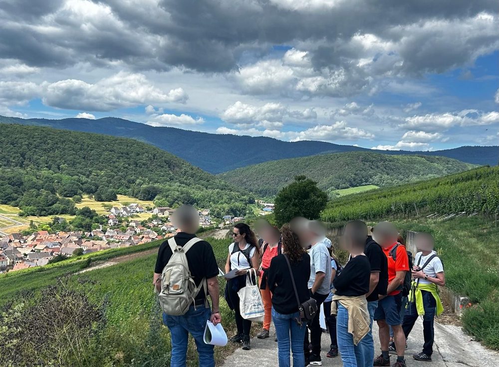 Lecture des cartes des terroirs dans les vignes