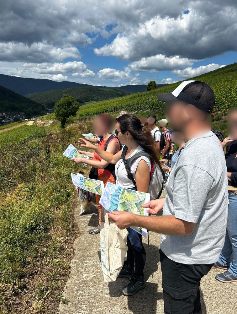 Dégustation à table face aux vignes
